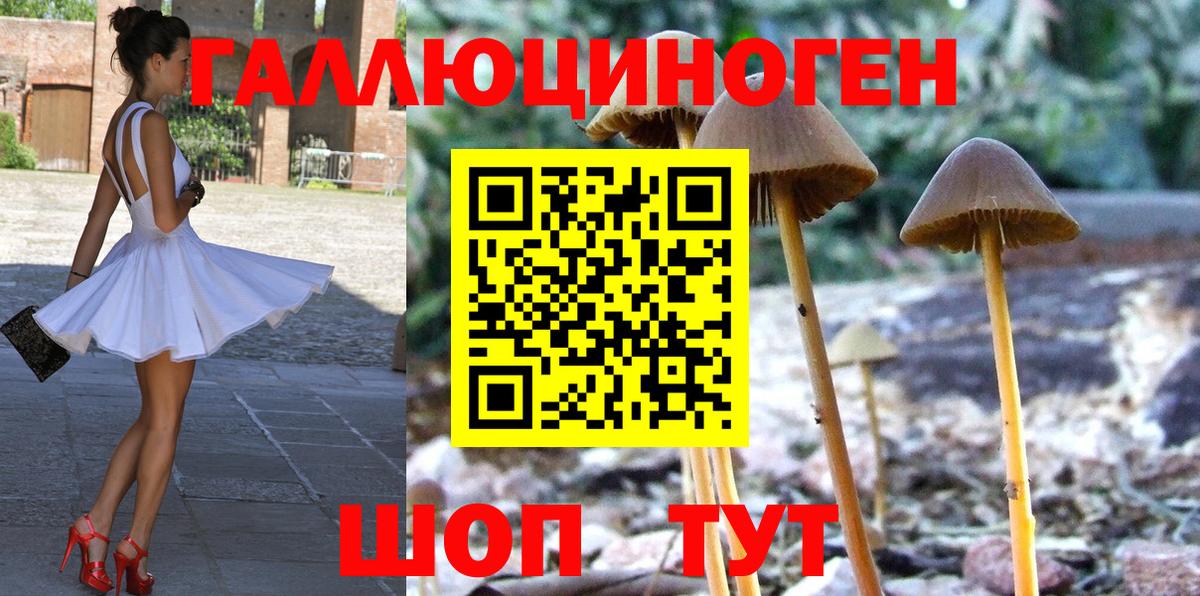 Избербаш  где можно купить наркотик  Вход с VPN  Галлюциногенные грибы MAGIC MUSHROOMS  Галлюциногенные грибы GOLDEN TEACHER 